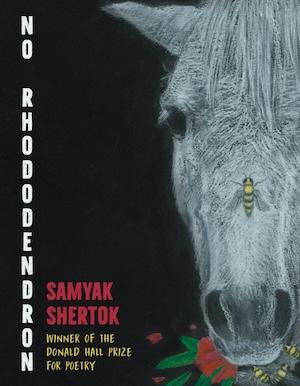 Cover of No Rhododendron by Samyak Shertok, which shows a horse’s face with a bee on it